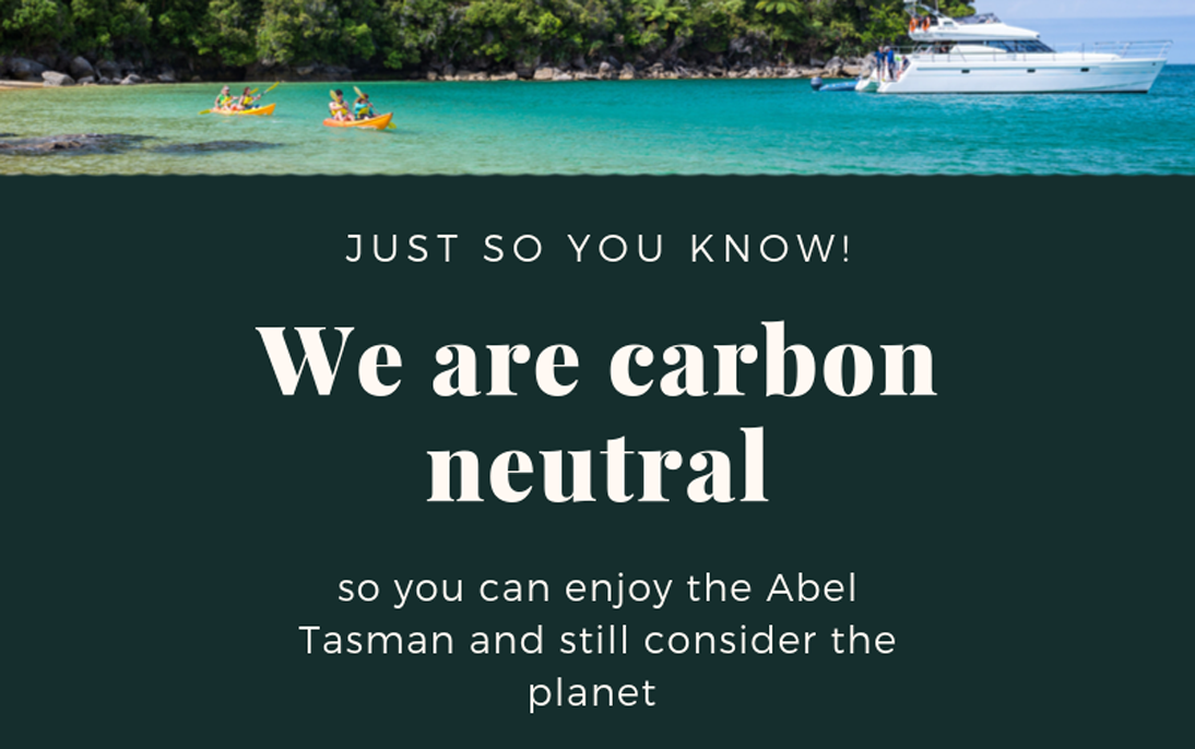 Abel Tasman Charters strives to be carbon neutral, offsetting its emissions with tree planting