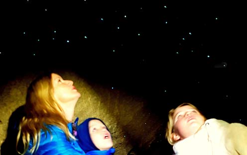 Visit the glow worms when you overnight in New Zealand's Abel Tasman