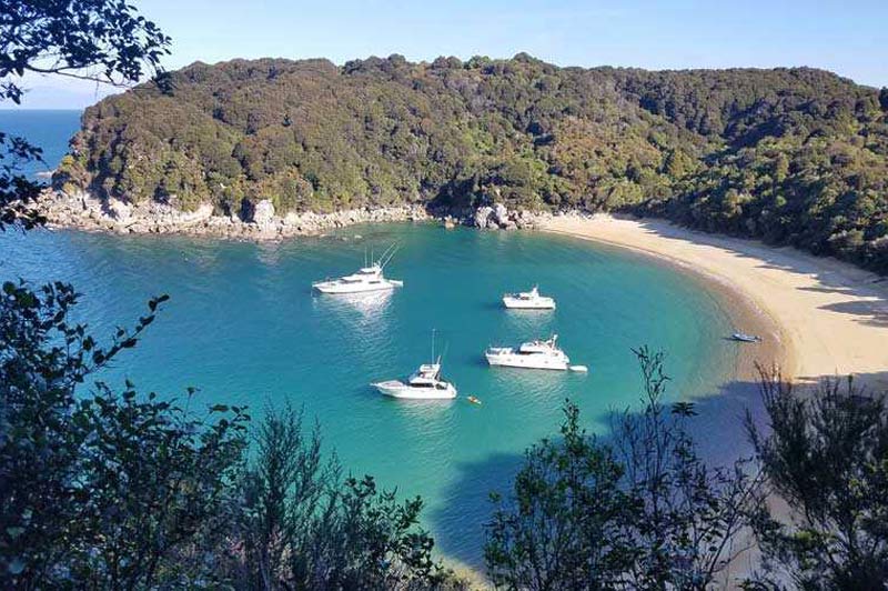 Abel Tasman Charters' Boats