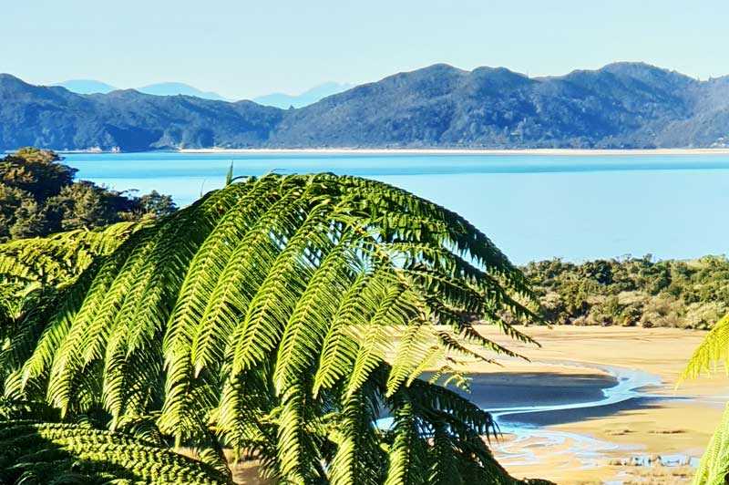 Beautiful Abel Tasman views
