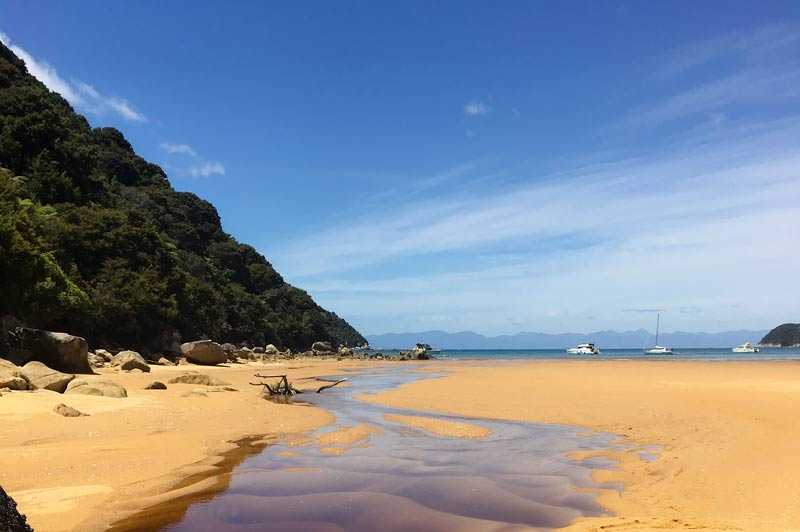 The golden beaches of the Abel Tasman