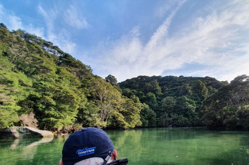 Shag Harbour in the Abel Tasman